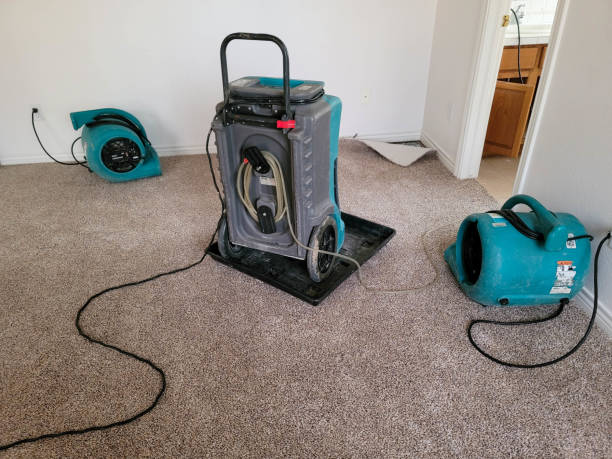 Best Flood damage cleanup  in Yorklyn, PA