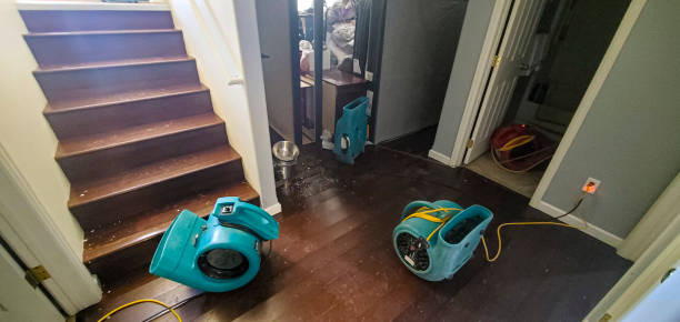 Best Local water damage restoration  in Yorklyn, PA