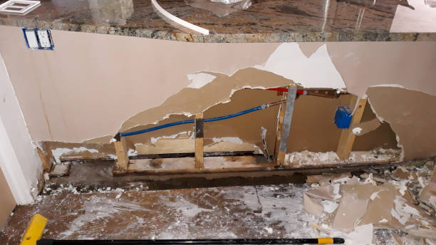 Best Mold removal after water damage  in Yorklyn, PA
