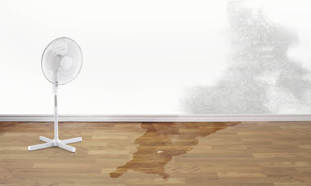 Best Flood damage cleanup  in Yorklyn, PA
