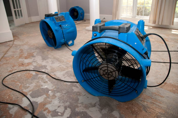 Best Carpet water damage restoration  in Yorklyn, PA