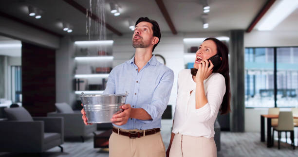 Best Basement water damage restoration  in Yorklyn, PA